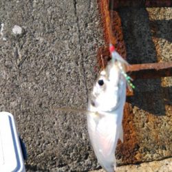 始まってなかった、、、